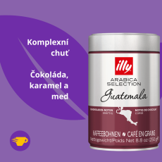 illy Guatemala 250g